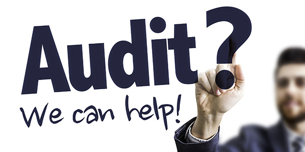 Auditing